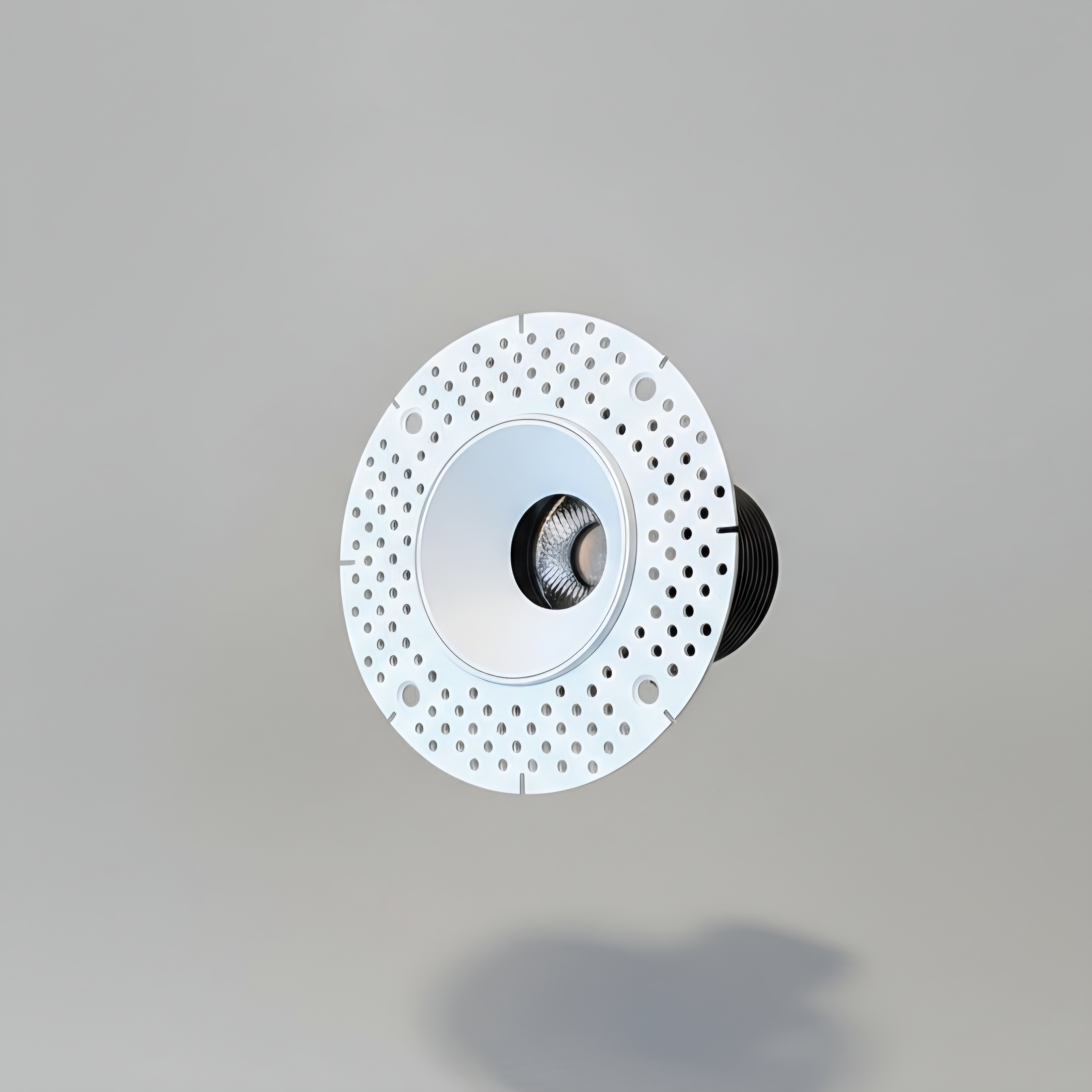 Trimless Adjustable Downlight