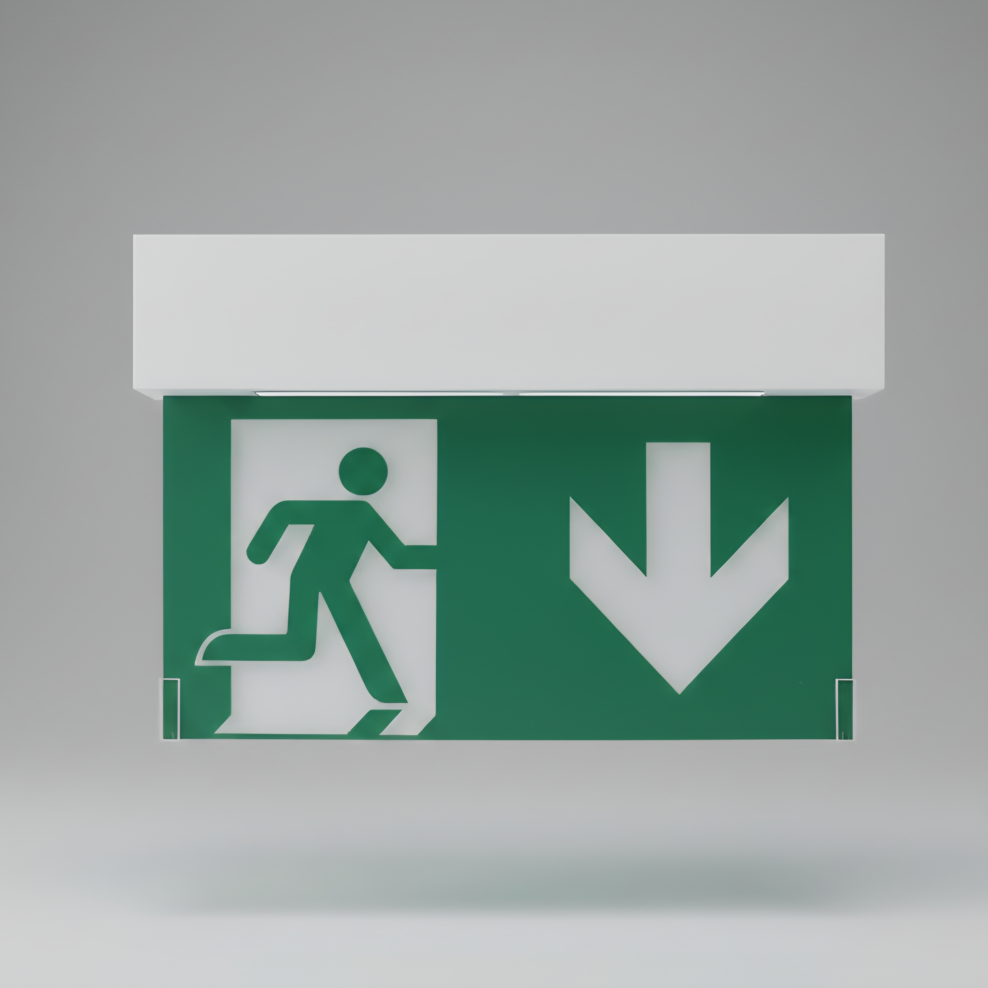 Emergency Exit sign X1
